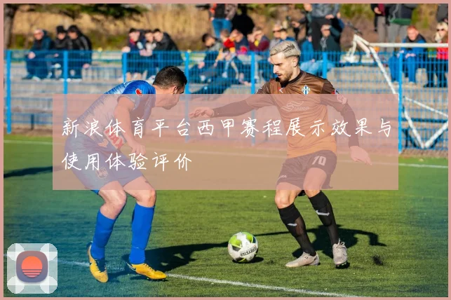 新浪体育平台西甲赛程展示效果与使用体验评价