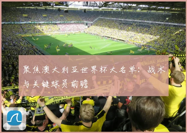 聚焦澳大利亚世界杯大名单:战术与关键球员前瞻