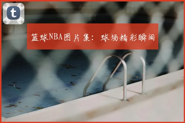 篮球NBA图片集：球场精彩瞬间